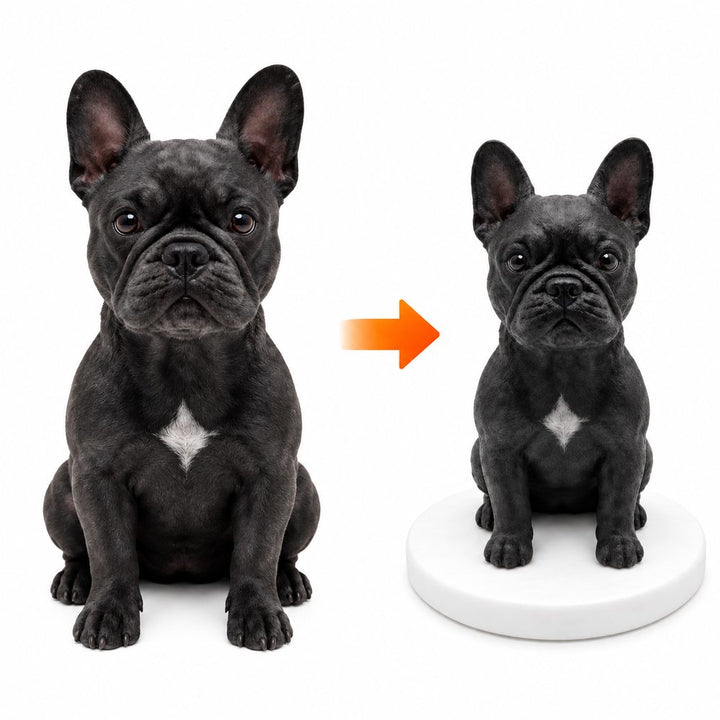 Custom French Bulldog Bobblehead personalized from photos